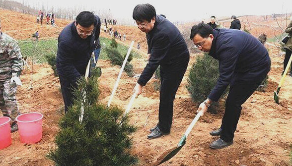 省市2千余名公務(wù)員在藍(lán)田義務(wù)植樹(shù)7千余棵白皮松